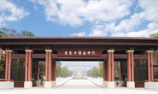 重庆中医学校录取分数线 重庆中医学校录取分数线