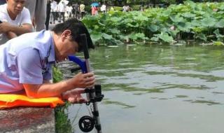 杭州西湖捞哥是免费的