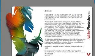 adobephotoshopcs8.0