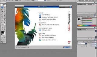 adobephotoshopcs8.0