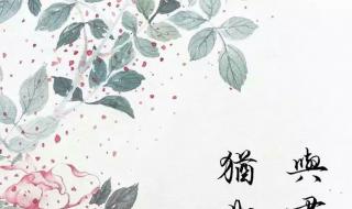 恰似故人归一共多少集
