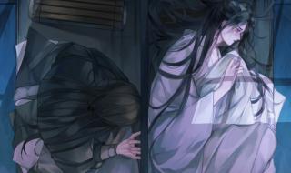 二哈和他的白猫师尊补肉 二哈和他的白猫师尊补肉