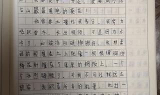 植物300作文免费可抄