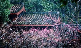 杭州烟花秀最佳观赏地点