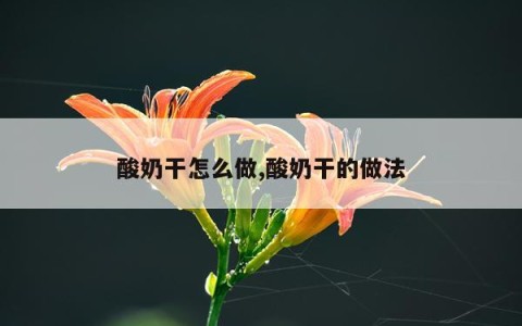 酸奶干怎么做,酸奶干的做法