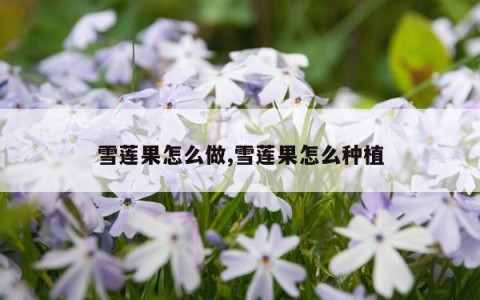 雪莲果怎么做,雪莲果怎么种植
