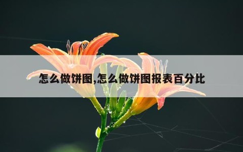 怎么做饼图,怎么做饼图报表百分比