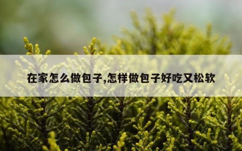 在家怎么做包子,怎样做包子好吃又松软