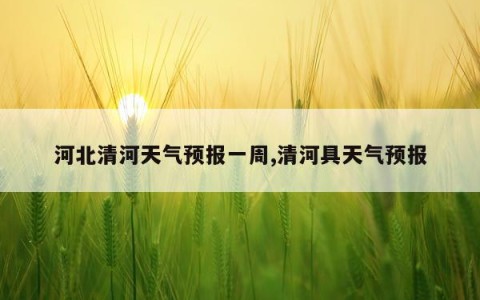 河北清河天气预报一周,清河具天气预报