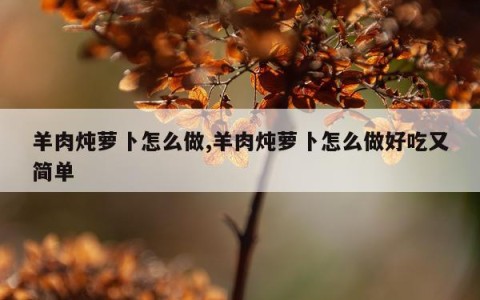 羊肉炖萝卜怎么做,羊肉炖萝卜怎么做好吃又简单