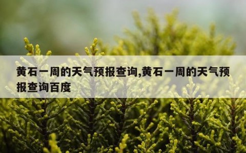 黄石一周的天气预报查询,黄石一周的天气预报查询百度