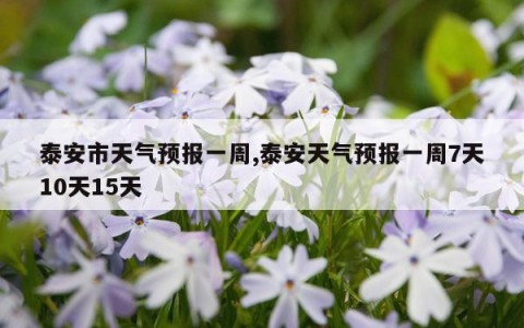 泰安市天气预报一周,泰安天气预报一周7天10天15天