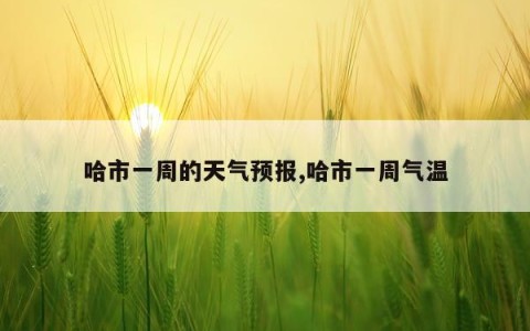 哈市一周的天气预报,哈市一周气温