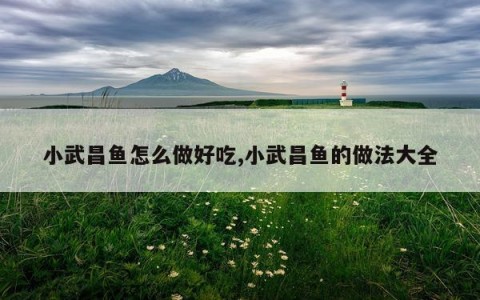小武昌鱼怎么做好吃,小武昌鱼的做法大全