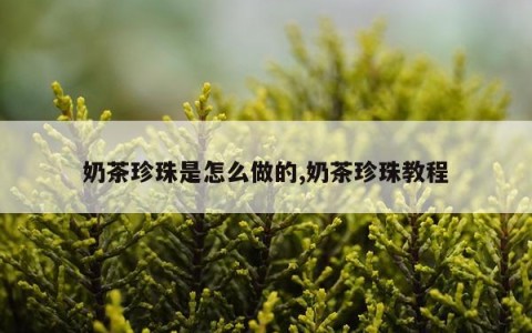 奶茶珍珠是怎么做的,奶茶珍珠教程