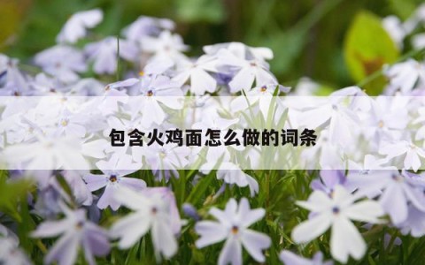 包含火鸡面怎么做的词条
