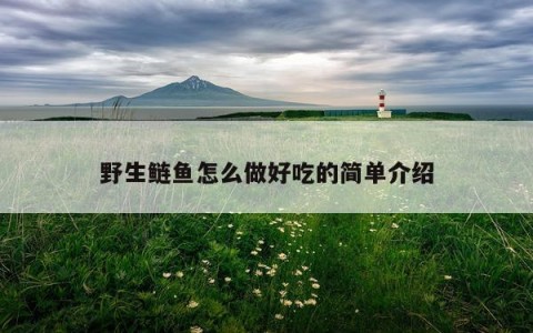 野生鲢鱼怎么做好吃的简单介绍