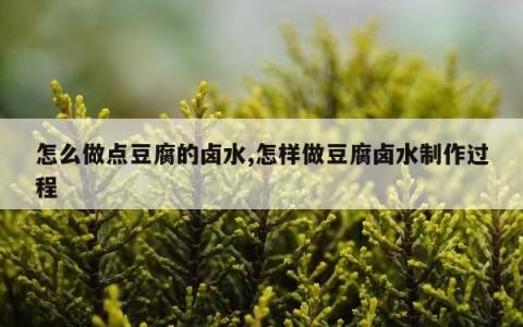 怎么做点豆腐的卤水,怎样做豆腐卤水制作过程