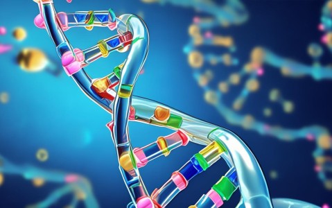 生物体的基本特征、能源物质及生物界与非生物界的关系
