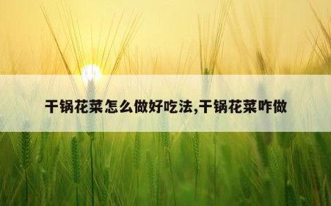 干锅花菜怎么做好吃法,干锅花菜咋做