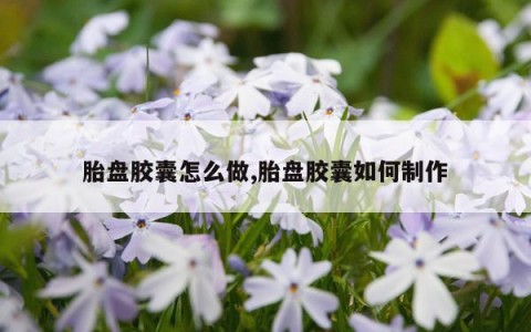 胎盘胶囊怎么做,胎盘胶囊如何制作