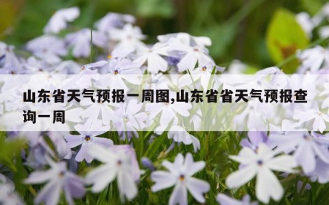 山东省天气预报一周图,山东省省天气预报查询一周