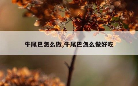 牛尾巴怎么做,牛尾巴怎么做好吃