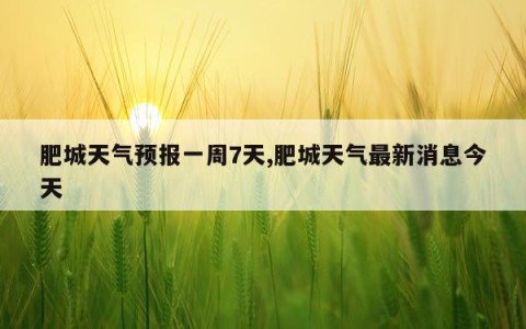 肥城天气预报一周7天,肥城天气最新消息今天