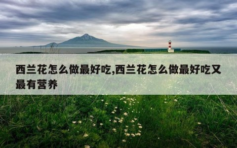 西兰花怎么做最好吃,西兰花怎么做最好吃又最有营养