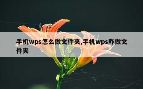 手机wps怎么做文件夹,手机wps咋做文件夹