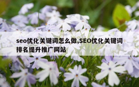 seo优化关键词怎么做,SEO优化关键词排名提升推广网站