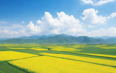 右玉天气预报一周,右玉天气预报24小时
