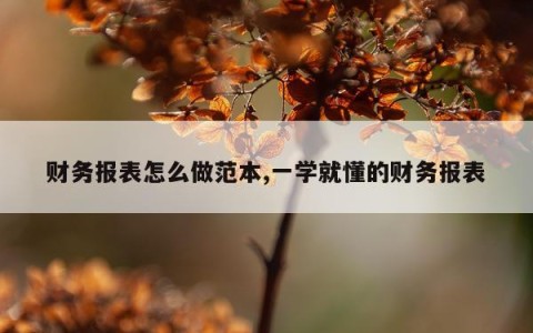 财务报表怎么做范本,一学就懂的财务报表