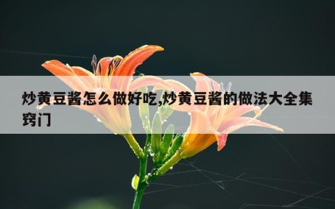 炒黄豆酱怎么做好吃,炒黄豆酱的做法大全集窍门