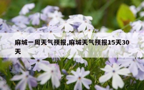 麻城一周天气预报,麻城天气预报15天30天