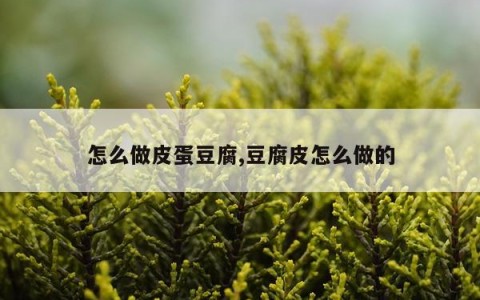 怎么做皮蛋豆腐,豆腐皮怎么做的