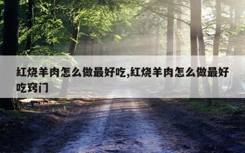 红烧羊肉怎么做最好吃,红烧羊肉怎么做最好吃窍门