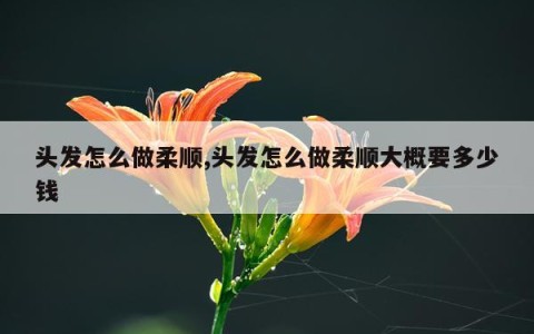 头发怎么做柔顺,头发怎么做柔顺大概要多少钱