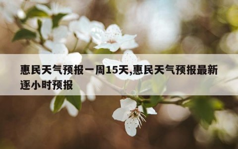 惠民天气预报一周15天,惠民天气预报最新逐小时预报