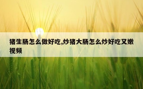 猪生肠怎么做好吃,炒猪大肠怎么炒好吃又嫩视频