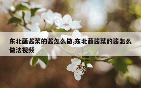 东北蘸酱菜的酱怎么做,东北蘸酱菜的酱怎么做法视频