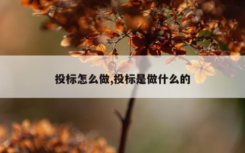 投标怎么做,投标是做什么的