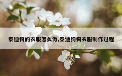 泰迪狗的衣服怎么做,泰迪狗狗衣服制作过程