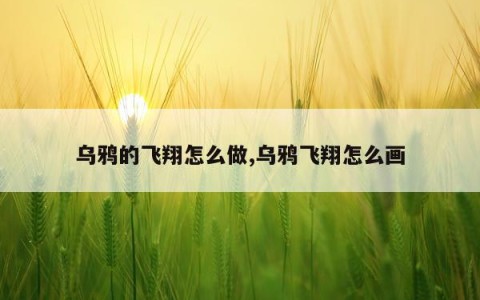 乌鸦的飞翔怎么做,乌鸦飞翔怎么画