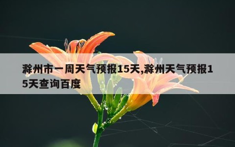 滁州市一周天气预报15天,滁州天气预报15天查询百度
