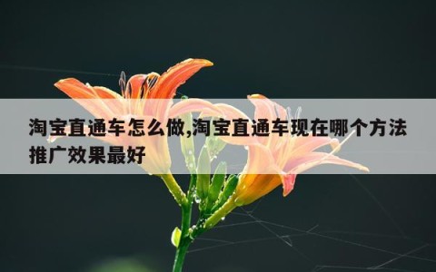 淘宝直通车怎么做,淘宝直通车现在哪个方法推广效果最好