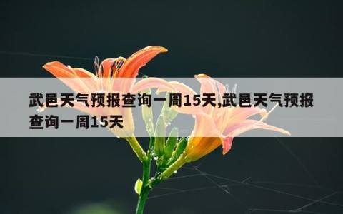 武邑天气预报查询一周15天,武邑天气预报查询一周15天