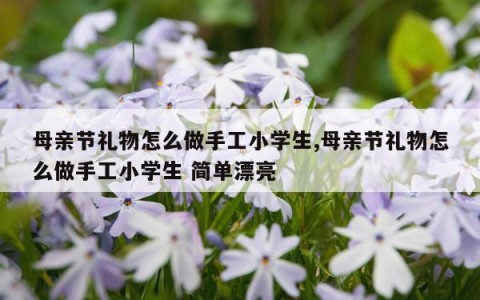 母亲节礼物怎么做手工小学生,母亲节礼物怎么做手工小学生 简单漂亮