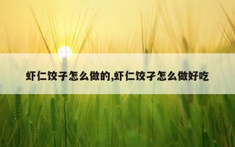 虾仁饺子怎么做的,虾仁饺孑怎么做好吃