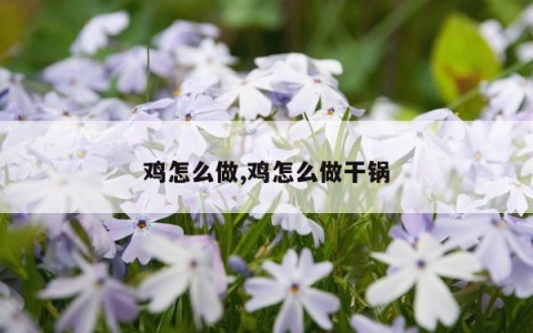 鸡怎么做,鸡怎么做干锅